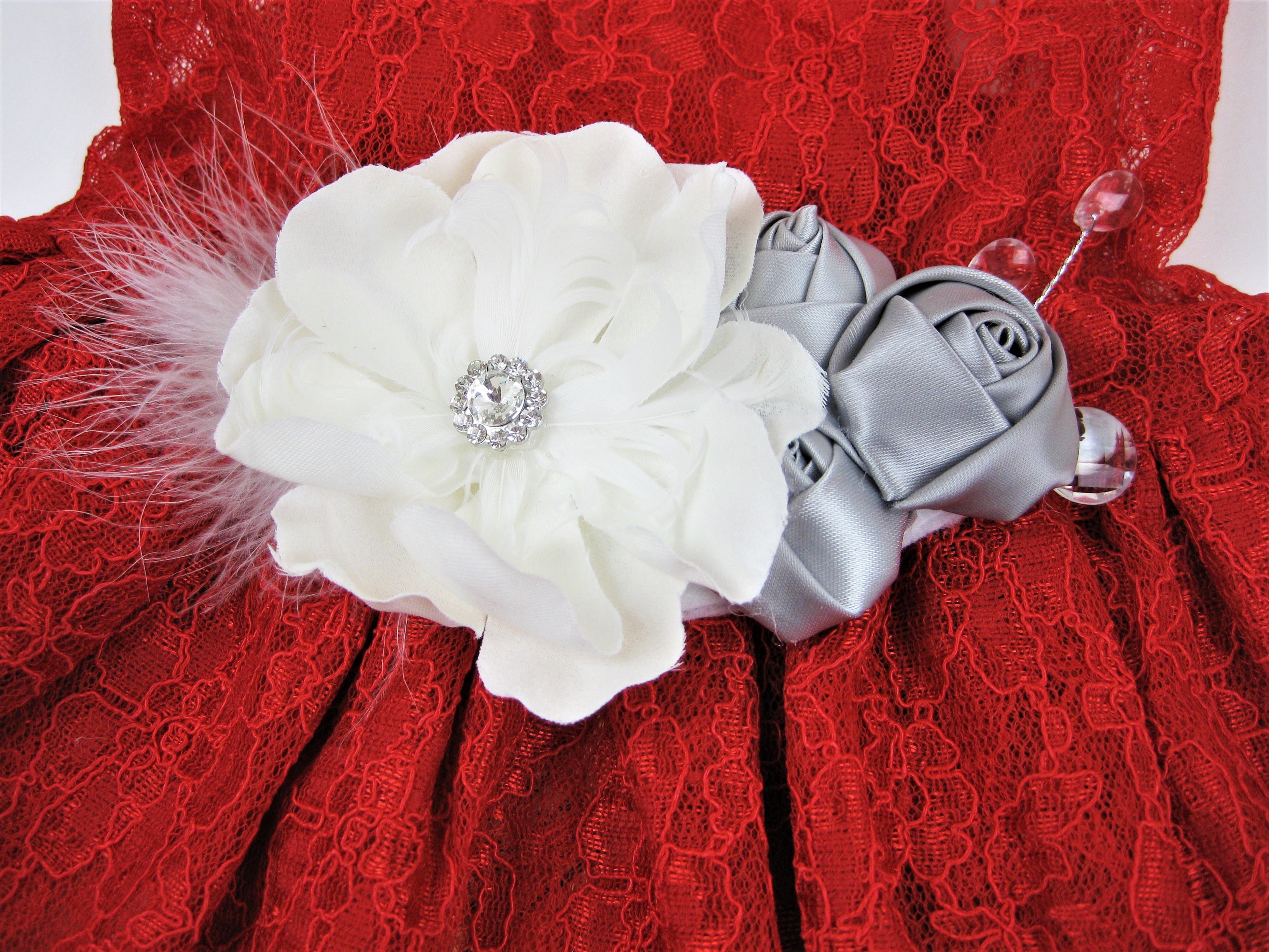 Holiday Dog Dress | The Nivia